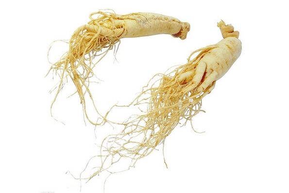 Ginseng root - a folk remedy for increasing male potency